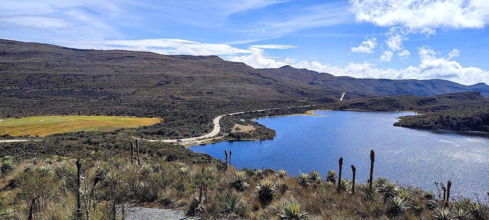 Laguna y frailejones en el páramo de Sumapaz